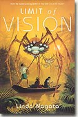 Limit of Vision